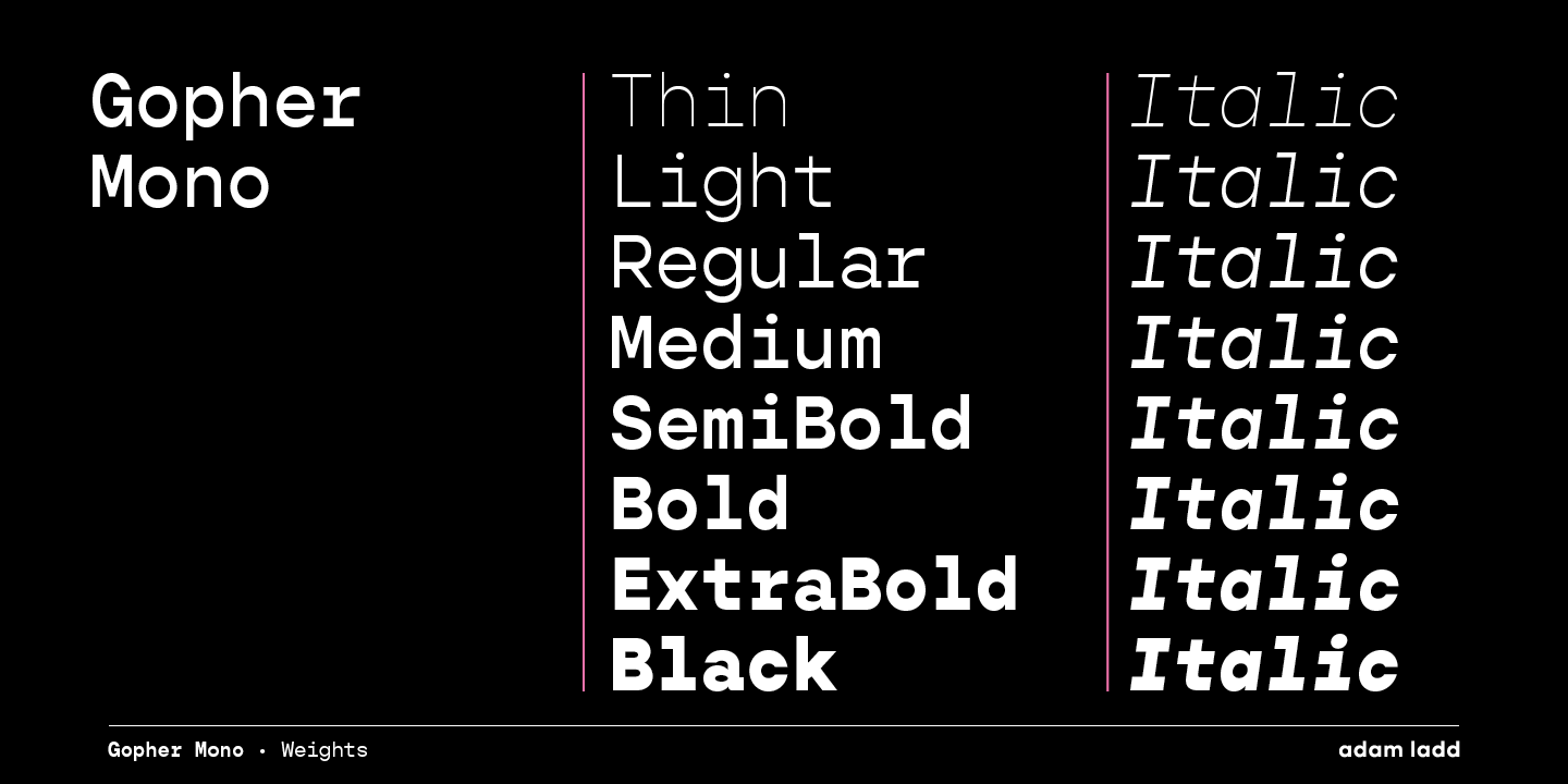 Przykład czcionki Gopher Mono Light Italic